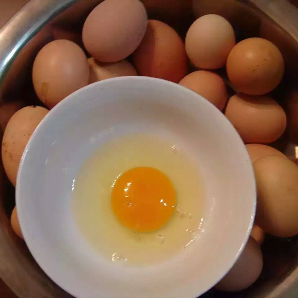 桂林销售新鲜土鸡蛋