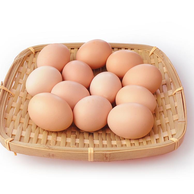 鹤岗农家散养土鸡蛋