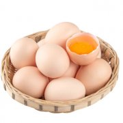 安庆销售散养土鸡蛋